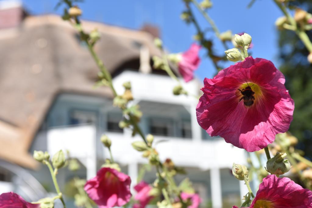Romantik Hotel Fischerwiege Аренсгоп Екстер'єр фото